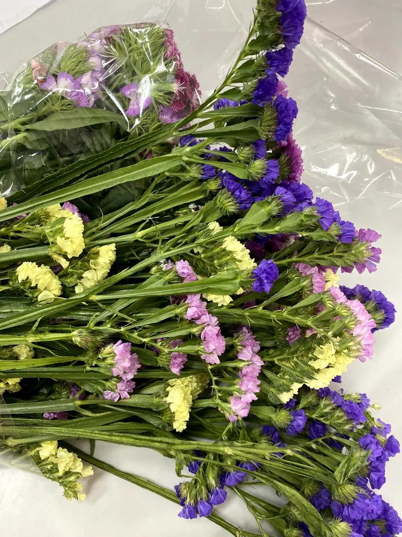 Tintes con flores frescas