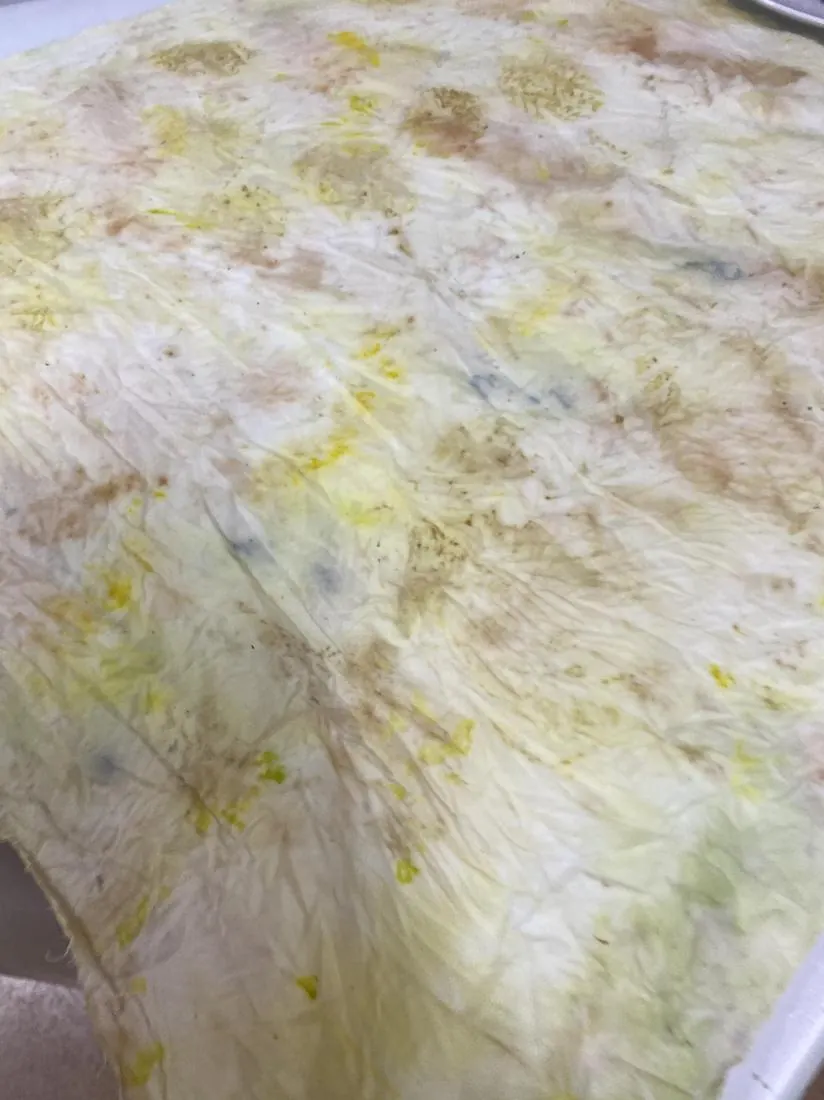 Resultado tinte natural